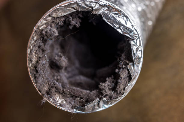 Best Air Duct Cleaning Cost  in Indian Hills, NV